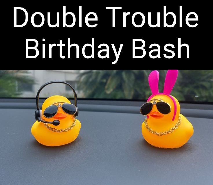 Double Trouble Birthday Bash