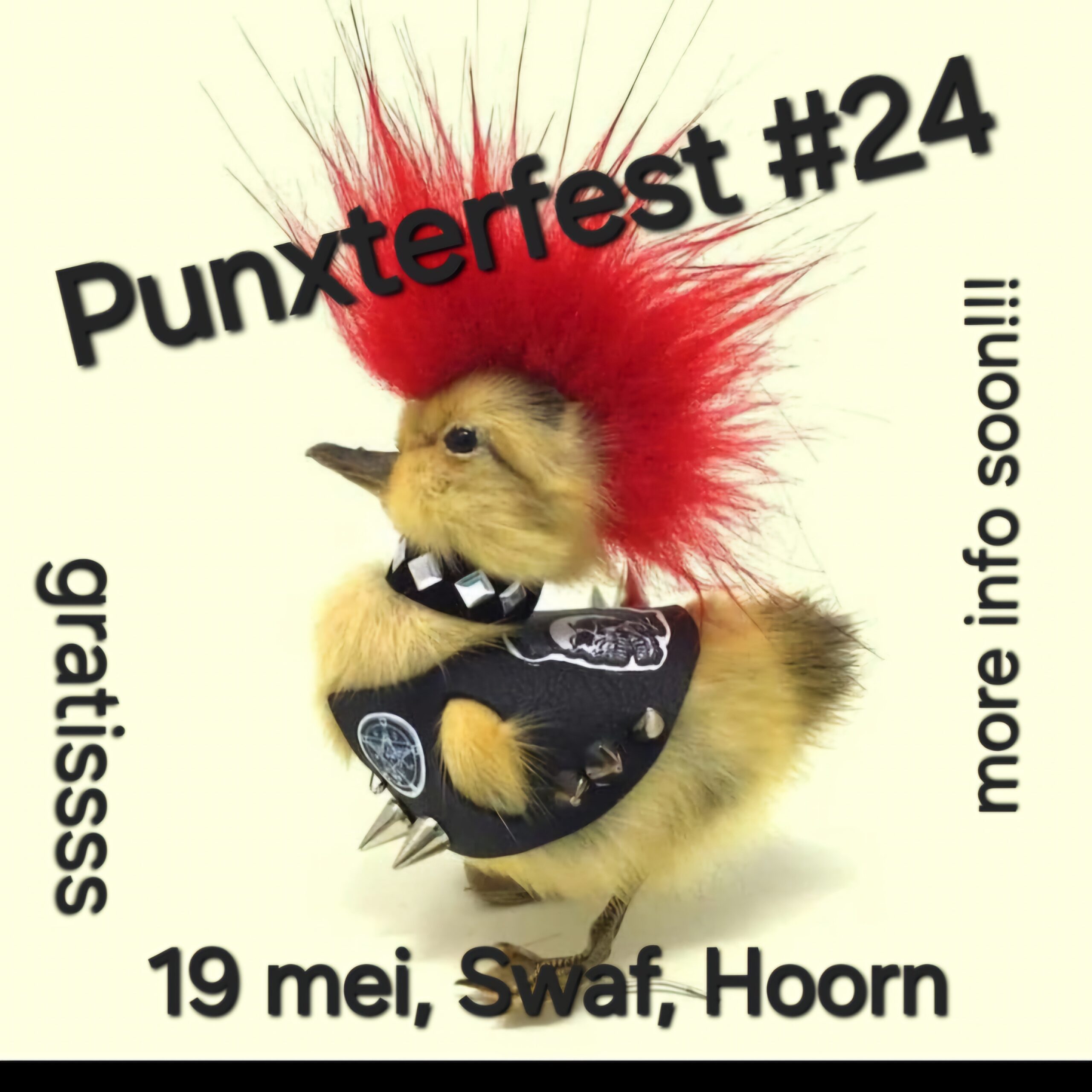 Punxterfest #24
